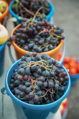 A bucket of freshly picked ...