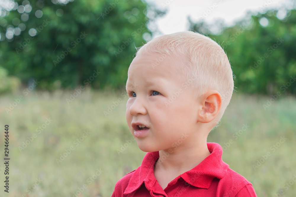 Portrait of handsome blond little boy in garden Portrait of handsome blond little boy in garden