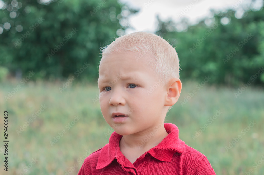 Portrait of blond little boy in garden Portrait of blond little boy in garden