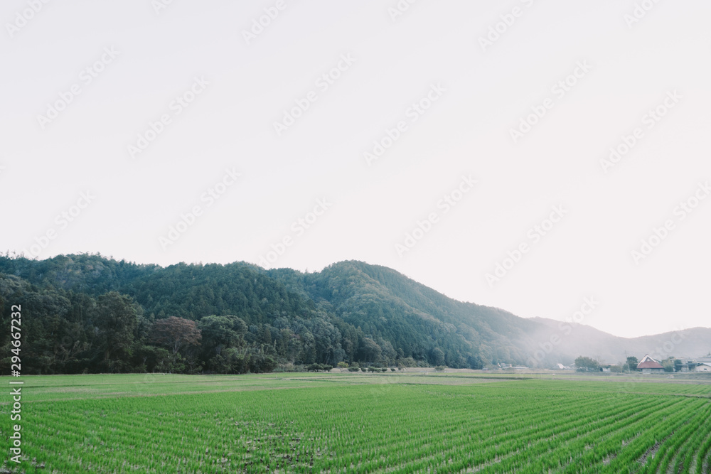 JAPAN : RURAL SCENERY