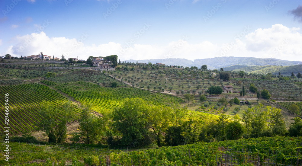 vineyards on the hills of the Tuscany