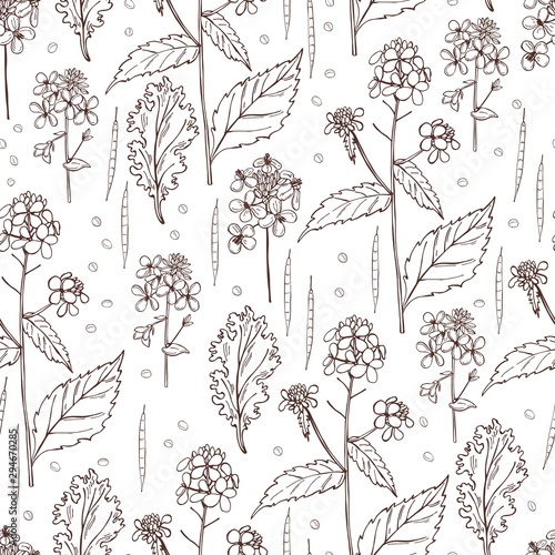 Hand-drawn mustard plant.  Vector  seamless pattern.