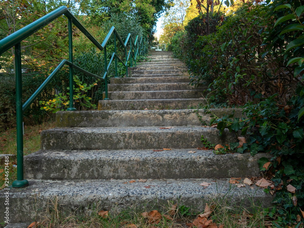 old stone staircase between trees