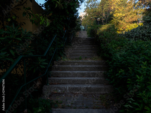 old stone staircase between trees © engin