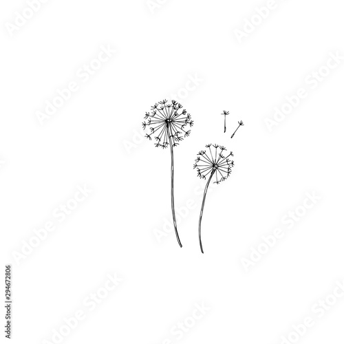 Vector Wildflowers floral botanical flowers. Black and white engraved ink art. Isolated flower illustration element.