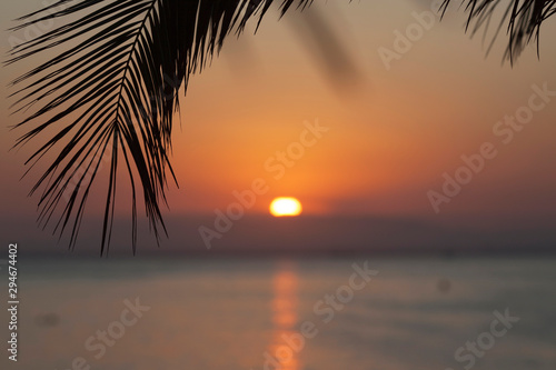 Sea sunset through the leaves the sun is out of focus