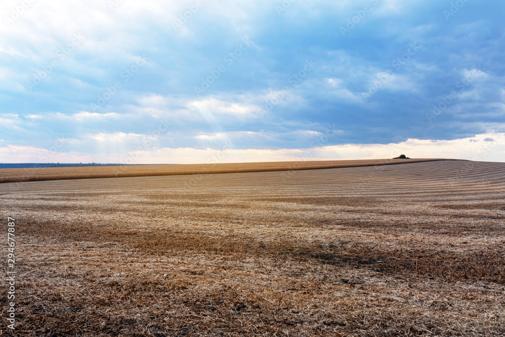 autumn field and evening sun over clouds autumn field and evening sun over clouds