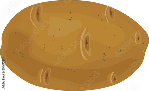 Fresh ripe potato tuber isolated on white background