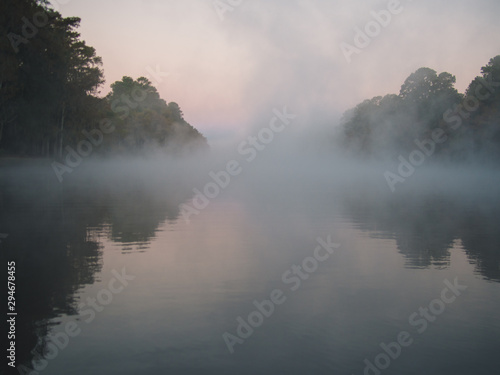 Bayou Swampland Louisiana.