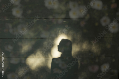 Shadow portrait profile double exposure