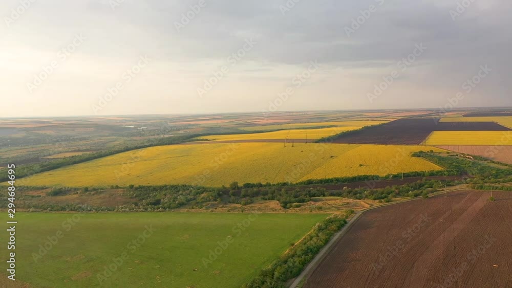 Sunflowers fields and plowed field. Air shoot of rural landscape. Sunflowers fields and plowed field. Air shoot of rural landscape.