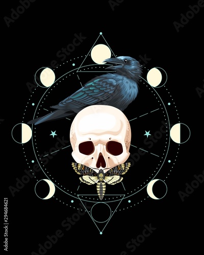 Vector illustration of black raven on the skull