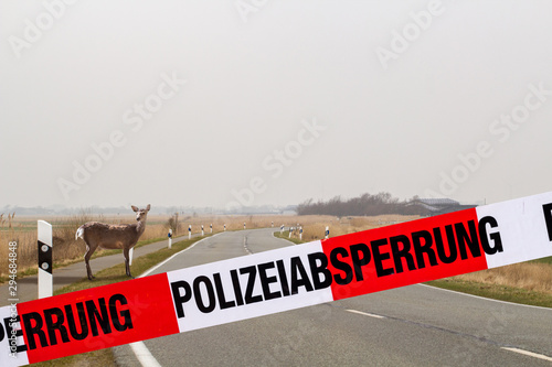 Straßensperrung der Polizei nach Wildunfall