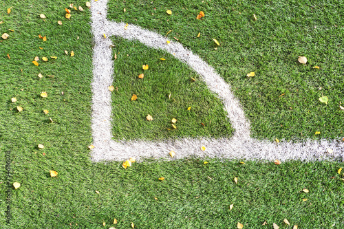 football soccer green grass field background with white corner markings and autumn leaves top down aerial closeup interior view of stadium to play sport design reference pattern detailed texture photo