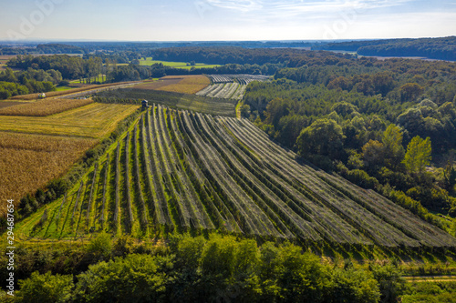 Kovačevac (Municipality of Rovišće, Bjelovar Bilogora County, Croatia) from above 