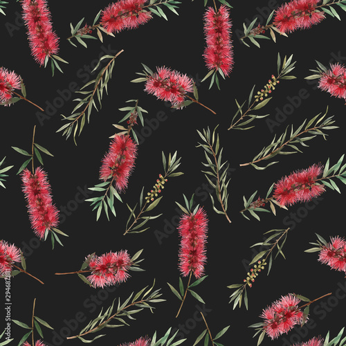 Watercolor australian callistemon seamless pattern