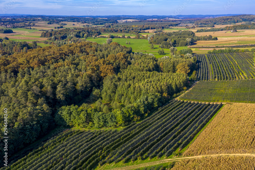 Kovačevac (Municipality of Rovišće, Bjelovar Bilogora County, Croatia) from above 