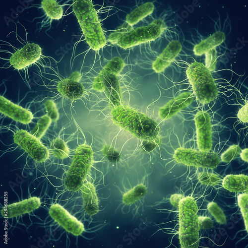 Pathogenic Salmonella Bacteria, Microbiological research photo