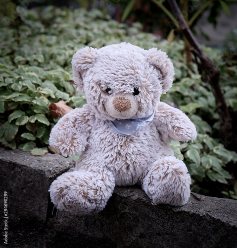 little teddy bear sitting on the side of the road during the day