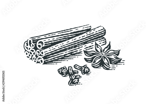 Spice. Anise, cinnamon and clove. Hand drawn engraving style illustrations.