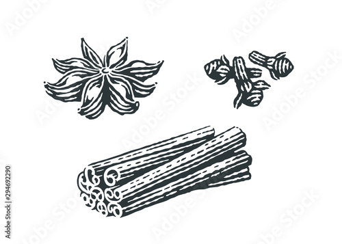 Spice. Anise, cinnamon and clove. Hand drawn engraving style illustrations.