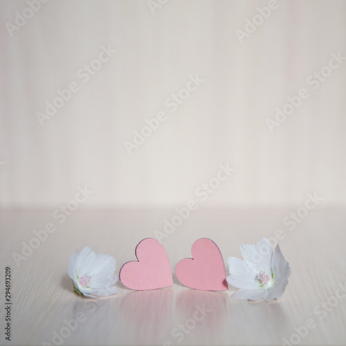 Two hearts. Background for congratulations with pink hearts. Valentine's Day. Hearts and white flower.