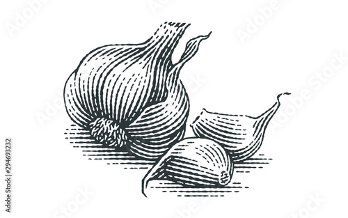 Garlic composition. Hand drawn engraving style illustrations.