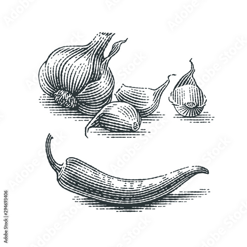 Garlic and chili pepper composition. Spice. Hand drawn engraving style illustrations.