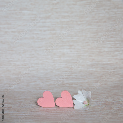 Two hearts. Background for congratulations with pink hearts. Valentine's Day. Hearts and white flower.