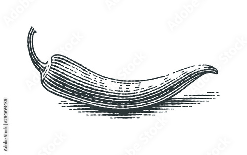 Chilli pepper. Hand drawn engraving style illustrations.