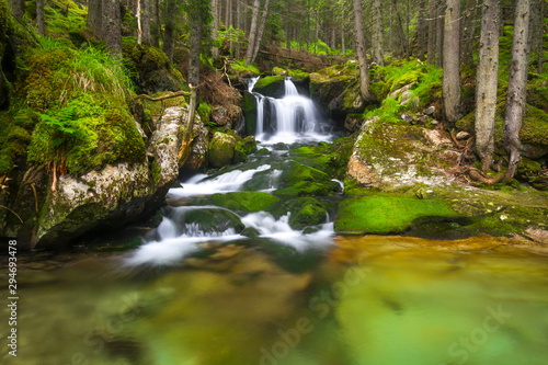 Fototapeta Naklejka Na Ścianę i Meble -  Waterfall in the green forest in the highest mountain of Romania. Peaceful and tranquil landscape with beautiful waterfall in forest. Rain-forest, jungle, waterfall, paradise, green, leaves, tropical.
