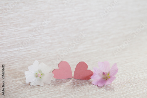 Two hearts. Background for congratulations with pink hearts. Valentine's Day. Hearts and white flower.