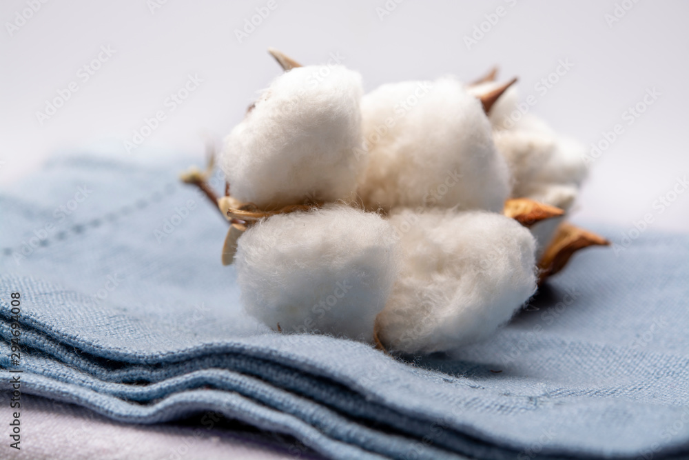 Soft natural fiber kitchen and bed textile made from organic cotton bolls Soft natural fiber kitchen and bed textile made from organic cotton bolls