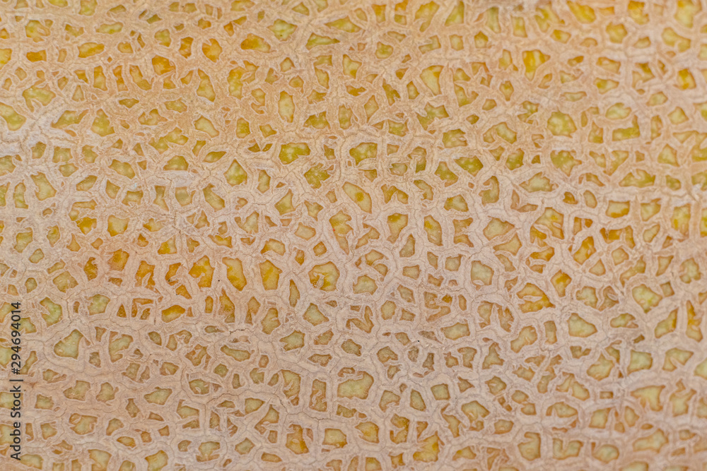 close up white torpedo melon fruit texture background mock-up.