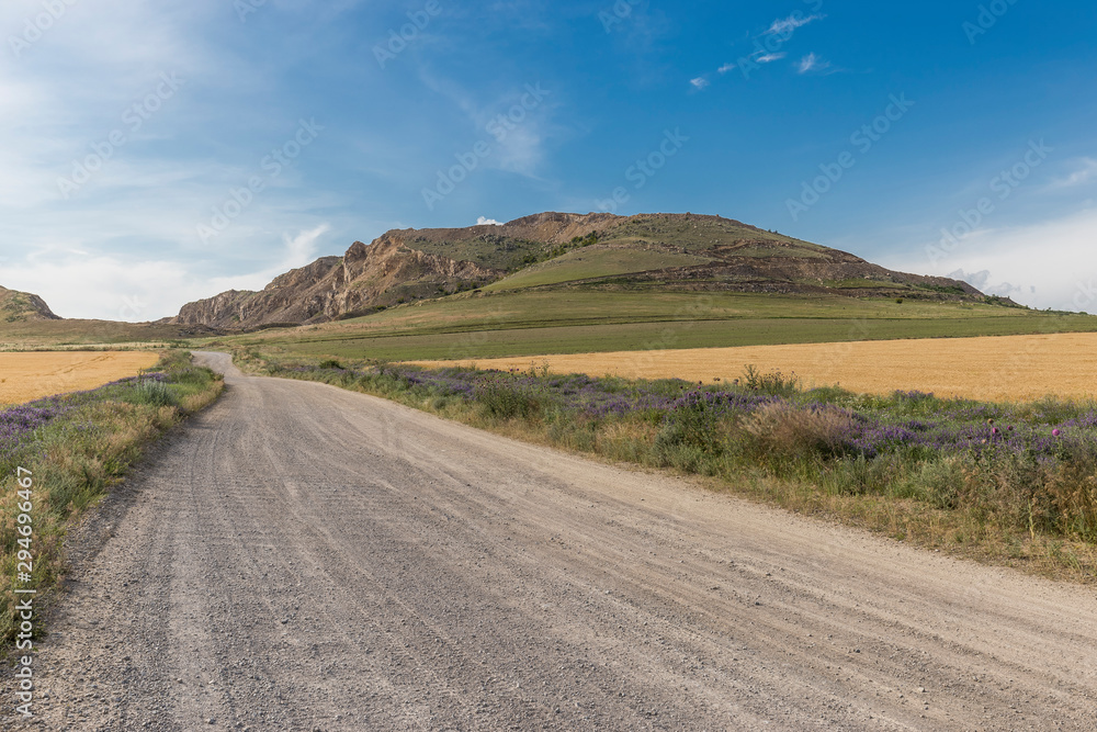 Gravel road leading to ancient mountains in wheat fields