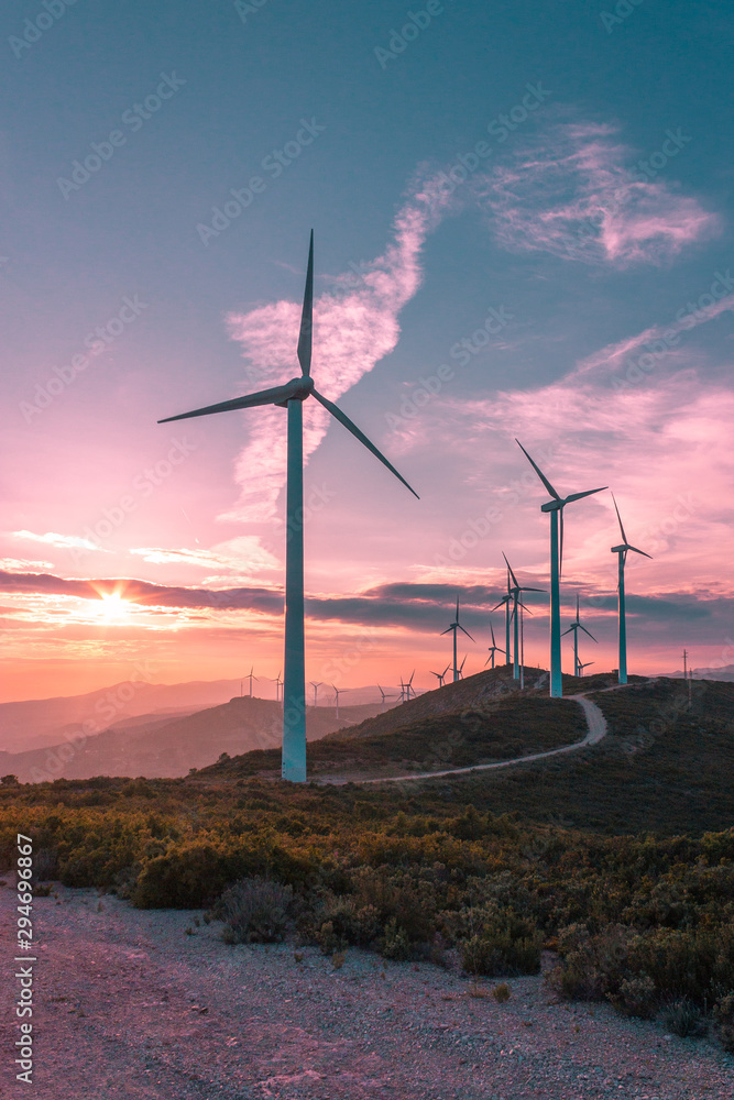 Obraz premium Wind turbines on beautiful sunny summer purple autumn mountain landsape. Curvy road through mountain Eolic park. Green ecological power energy generation. Wind farm eco field