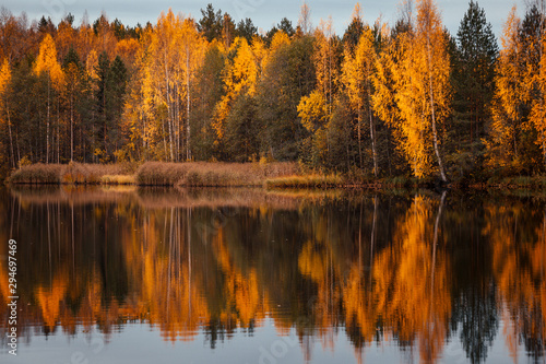 Красивый осенний лес отражается в зеркале пруда