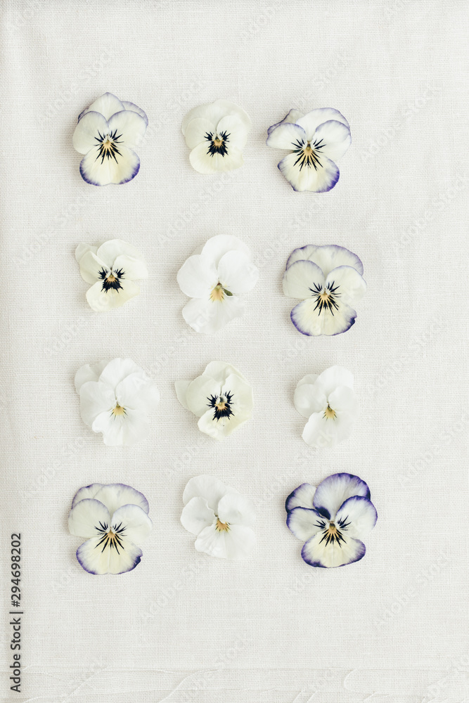 White pansies in rows on white cotton cloth flat lay White pansies in rows on white cotton cloth flat lay