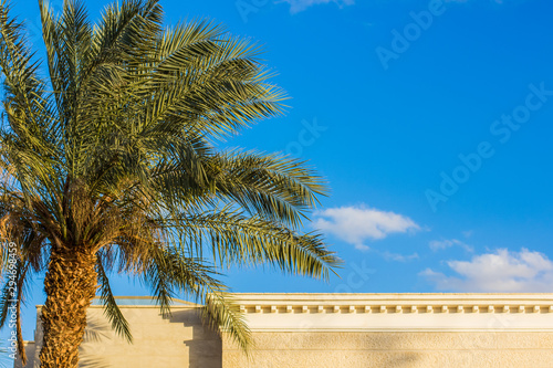 Middle East Arabian garden palm tree and concrete building white wall exterior frame on vivid blue sky background with empty copy space for your text