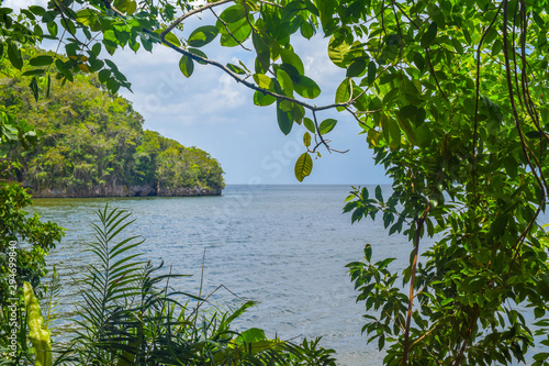 View through plants over los Haitises in dominican Republic