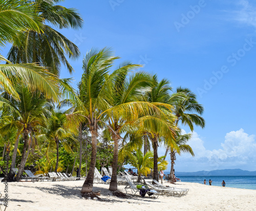 Beach with palms and white sand and deck chairs in front of the ocean, caribbean island cayo levantado © Laila