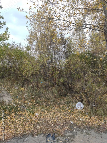 Rubbish in the forest