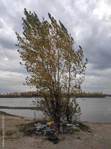 Rubbish on the river bank