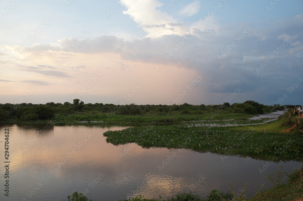 Panoramic beautiful sunset in Pantanal landscape from Brazil. Brazilian nature along Transpantaneira road. Cuiabá, Mato Grosso, Brazil