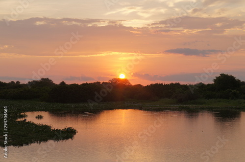 Fototapeta Naklejka Na Ścianę i Meble -  Panoramic beautiful sunset in Pantanal landscape from Brazil. Brazilian nature along Transpantaneira road. Cuiabá, Mato Grosso, Brazil