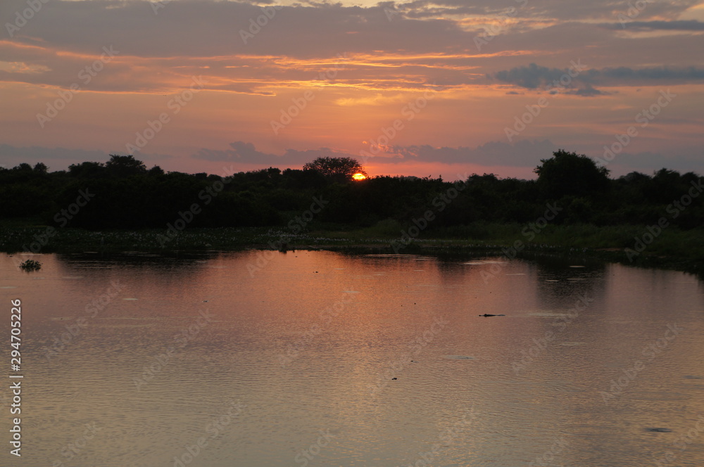 Panoramic beautiful sunset in Pantanal landscape from Brazil. Brazilian nature along Transpantaneira road. Cuiabá, Mato Grosso, Brazil