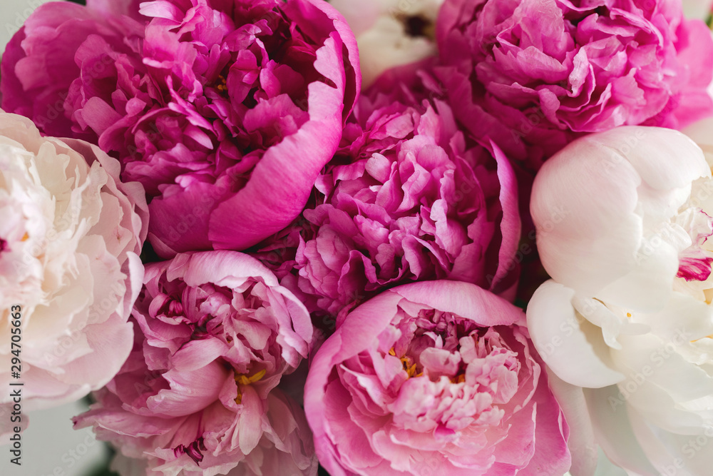 close up image of a variety of peonies close up image of a variety of peonies