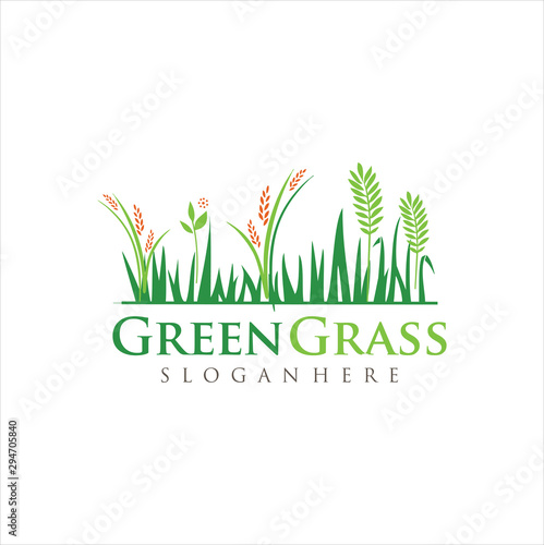 Lawn Care Logo Design Organic . Turf Logo Template . Lawn Organic Nature Logo Design Icon . Grass Logo Design Vector Stock