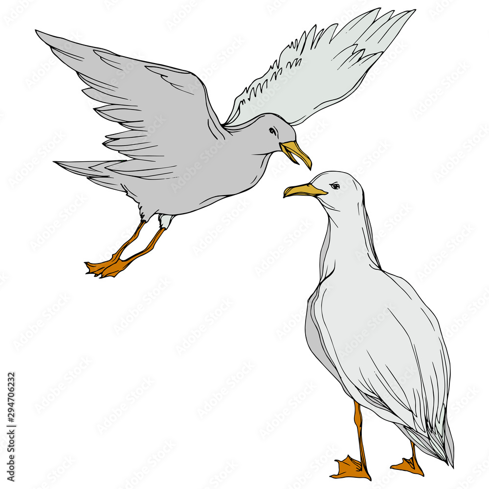 Obraz premium Vector Sky bird seagull in a wildlife isolated. Black and white engraved ink art. Isolated seagull illustration element.