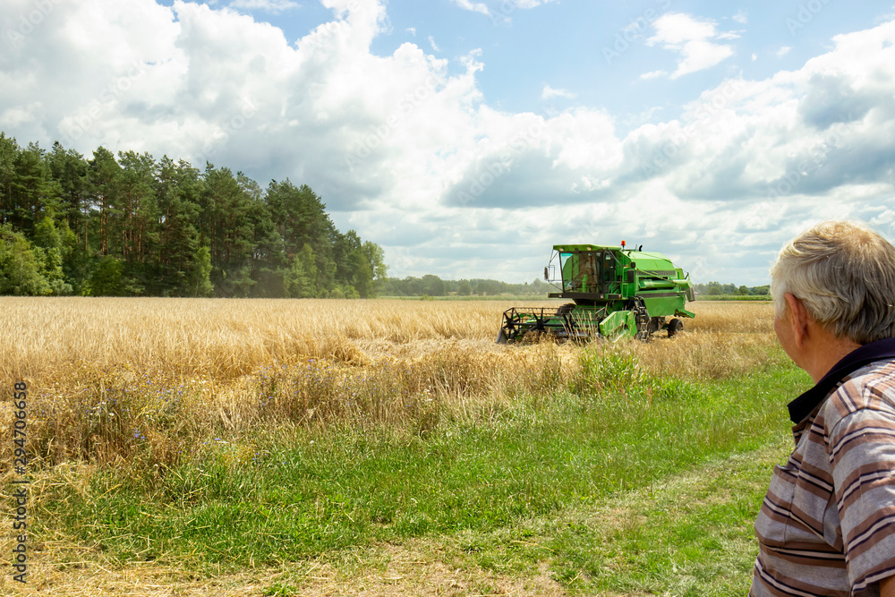 Obraz premium In the fields, the season of harvesting grain.